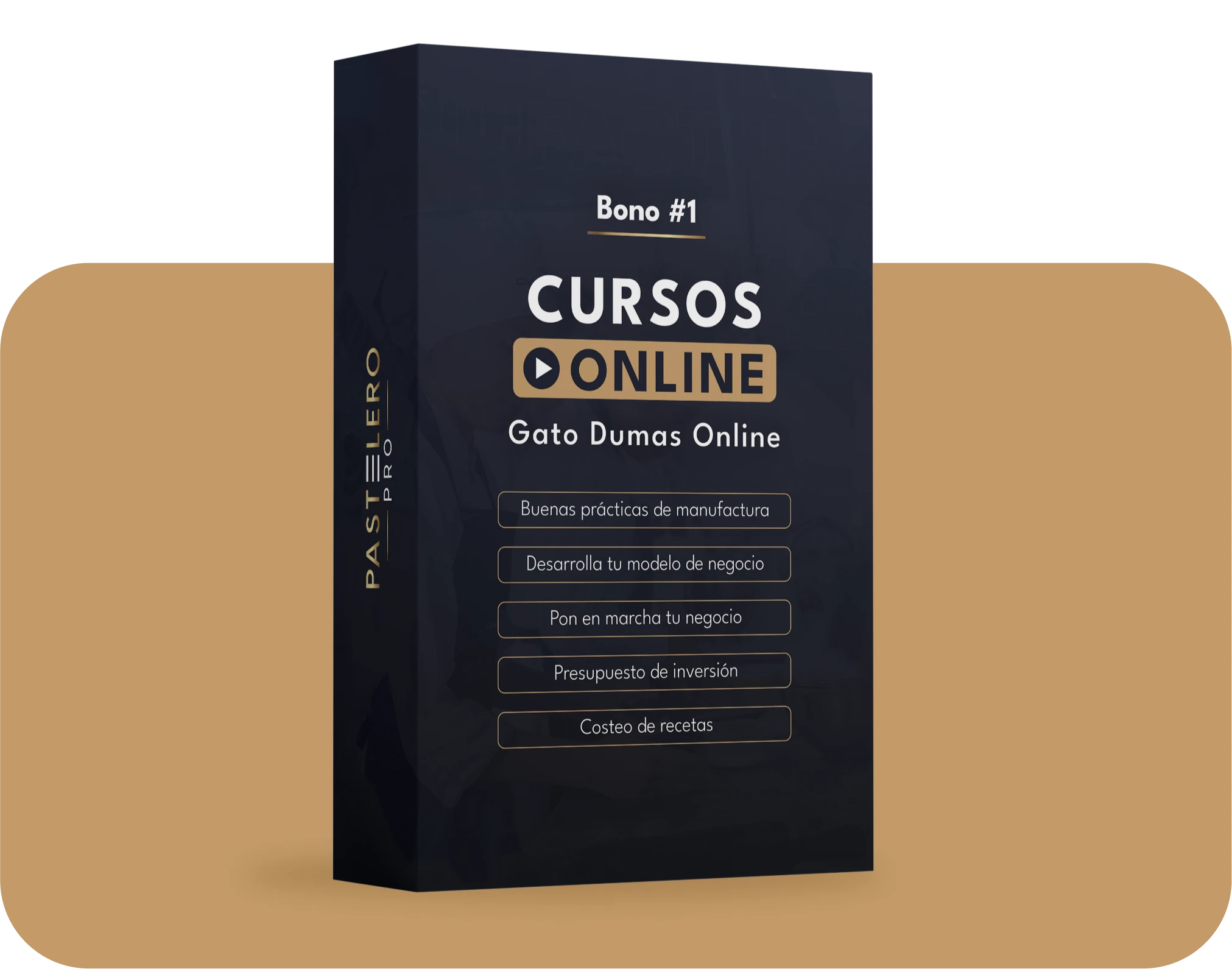 Bono 1: Cursos en-l&iacute;nea